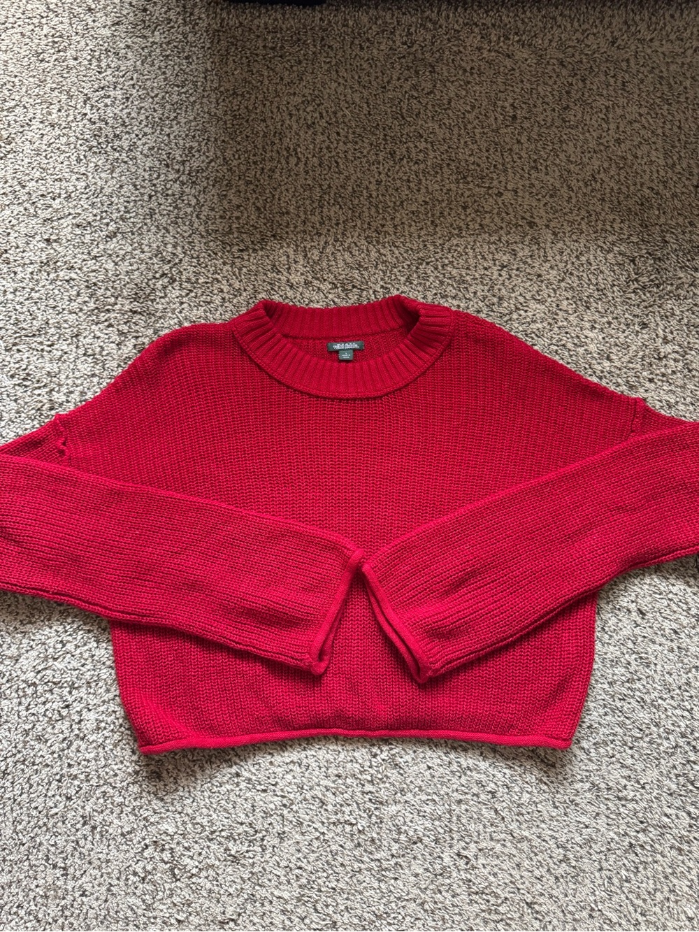 Wild fable cropped sweater